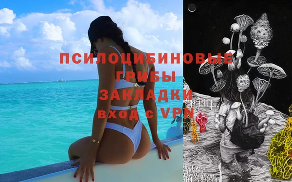 Альфа ПВП Алексеевка