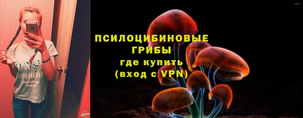 Альфа ПВП Алексеевка
