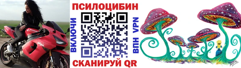 Псилоцибиновые грибы мицелий  купить наркотики цена  kraken как войти  Инсар 
